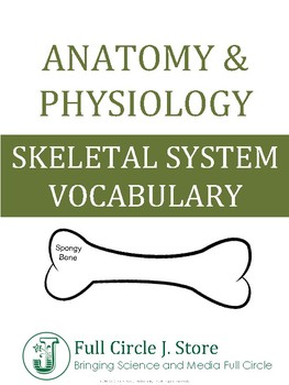 Preview of Anatomy and Physiology Skeletal System Vocabulary