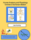 Anatomy and Physiology Skeleton Lab