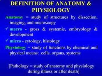 Preview of Anatomy and Physiology Song (I love Bio 3)