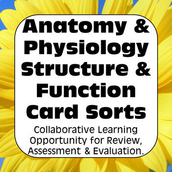 Preview of Anatomy and Physiology Structure & Function Card Sorts & Assessments AP Biology