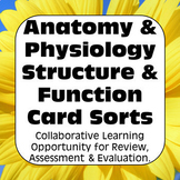Anatomy and Physiology Structure & Function Card Sorts & A