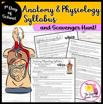 Preview of Anatomy and Physiology Syllabus and Scavenger Hunt | First Day of School