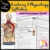 Anatomy and Physiology Syllabus and Scavenger Hunt | First