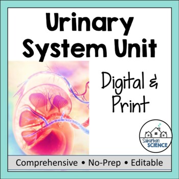 Preview of Anatomy and Physiology UNIT 12: Human Urinary System or Excretory System