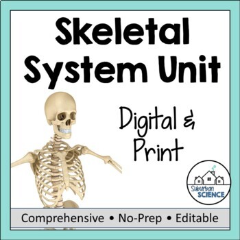 Preview of Anatomy and Physiology UNIT 4: Human Skeletal System - Bones - Lessons & Labs
