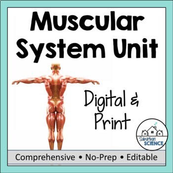 Preview of Anatomy and Physiology UNIT 5: Human Muscular System - Muscles & Contraction