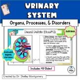 Anatomy and Physiology Unit 10: Urinary System Editable Slides