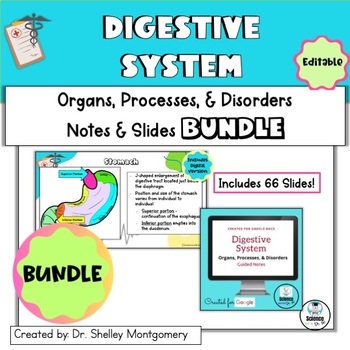 Preview of Anatomy and Physiology Unit 8: Digestive System Notes & Slides BUNDLE