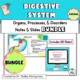 Anatomy and Physiology Unit 8: Digestive System Notes & Sl