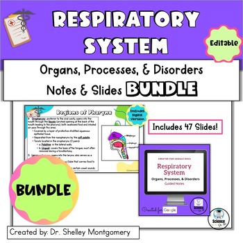 Preview of Anatomy and Physiology Unit 9: Respiratory System Notes & Slides BUNDLE