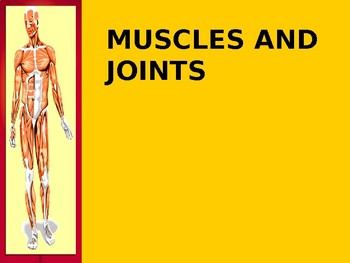 Preview of Anatomy and Physiology of Muscles and Joints