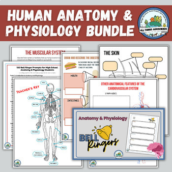Preview of Anatomy and Physiology Curriculum -  Human Body Systems Worksheets BUNDLE