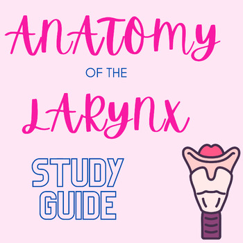Preview of Anatomy and Physiology of the Larynx Study Guide