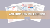 Anatomy for Phlebotomy