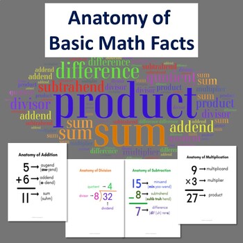 Preview of Anatomy of Basic Math Facts: Terms for Add, Subtract, Multiply, & Divide