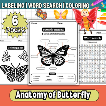 Anatomy of Butterfly: Body Parts, Word search, Labeling Worksheet ...