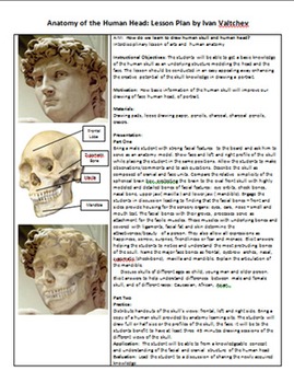 Preview of Anatomy of Human Head for Artists