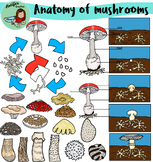 Anatomy of Mushrooms clip art