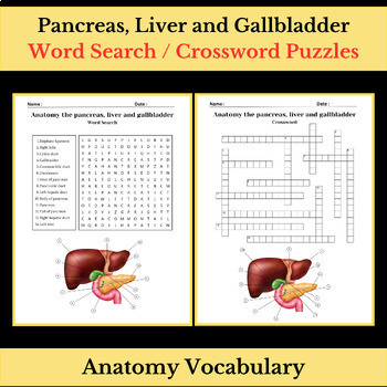 Preview of Anatomy of Pancreas, Liver and Gallbladder | Word Search & Crossword Puzzles