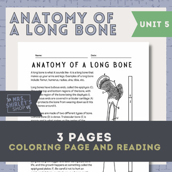 Preview of Anatomy of A Long Bone Coloring Page- Anatomy Unit 5 The Skeletal System