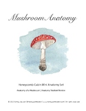 Anatomy of a Mushroom Mini Poster and Student Activity | N