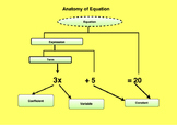 Anatomy of equation visual