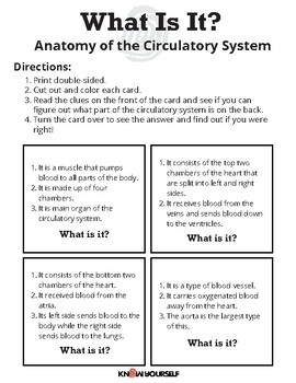 Preview of Anatomy of the Circulatory System Vocabulary Card Game