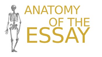 Preview of Anatomy of the Essay - Slideshow Presentation