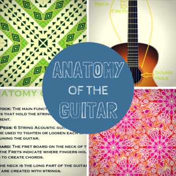 Preview of Anatomy of the Guitar: Handout, Quiz, Answer Key