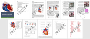 Preview of Anatomy of the Heart All-in-One Sheep Dissection Lab Activity & Review Worksheet