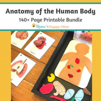 Preview of Anatomy of the Human Body Bundle