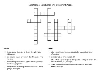 Anatomy of the Human Eye Crossword by TOEFL Word Searches Crosswords
