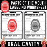 Anatomy of the Oral Cavity | Oral Cavity Labeling Workshee