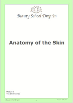 Preview of Anatomy of the Skin Workbook
