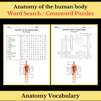 Preview of Anatomy of the human body | Science Vocabulary | Word Search & Crossword Puzzles