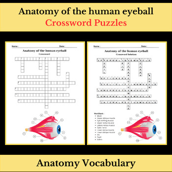 Anatomy of the human eyeball Science Vocabulary Crossword Puzzle