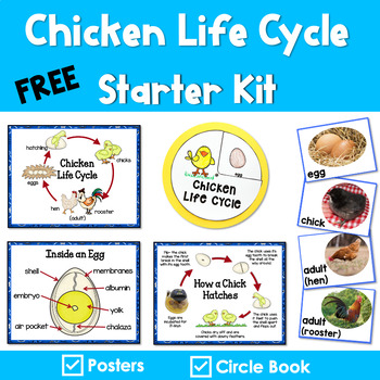 Preview of Chicken Life Cycle Posters and More