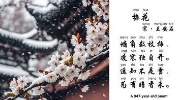 Preview of Ancient Chinese winter poem Plum Flowers 古诗梅花