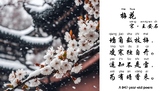 Ancient Chinese winter poem Plum Flowers 古诗梅花