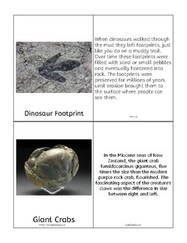 Preview of Ancient Fossils Definition Cards