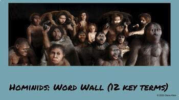 Preview of Ancient History (CA Standard 6.1): Hominids Word Wall (12 key terms)