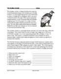 Andean Condor: Reading on Endangered Latin American Bird (