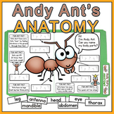 Insects Activity - Ant Anatomy File Folder Game