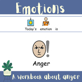 Anger Emotion Workbook for Special Education Autism