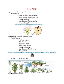 Preview of Angiosperm and Gymnosperm Seed Plants Study Notes