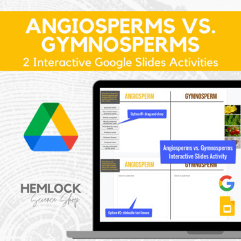 Preview of Angiosperm vs. Gymnosperm - Drag-drop, describe in Slides | REMOTE LEARNING