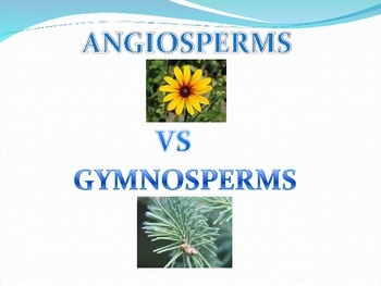 Preview of Angiosperms and Gymnosperms