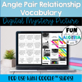 Angle Pair Relationship Vocabulary DIGITAL Mystery Picture
