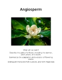 Anigiosperm