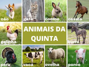 Preview of Animais da quinta (farm animals)